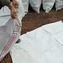 果木碳烧烤碳