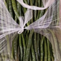 精品二荆条青线椒