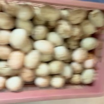 脏蛋干净蛋分框装，好打理好挑选，每天保鲜2000斤