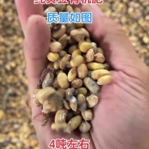 纯黄豆有机肥