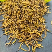 冬虫夏草找经销商