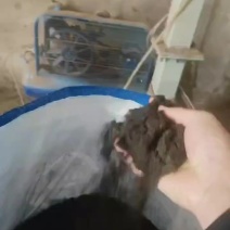 发醇鸡粪