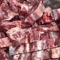 内蒙满肉羊蝎子厂家直销全国发货