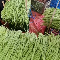豇豆