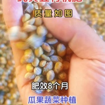 纯黄豆有机肥