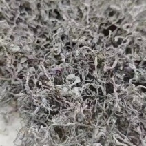 恩施来凤藤茶