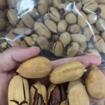 碧根果大量到货，有需要的老板联系。