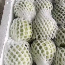 白心芭乐/量大从优/产地直供/欢迎前来选购/保质保量