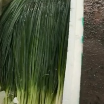 不止葱，还有蒜苗，欢迎骚扰