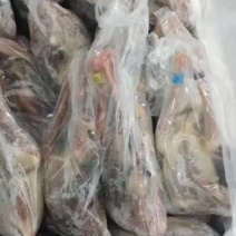 二级鸽子8000只