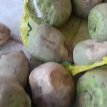 芥菜，大量有，想拉的联系我