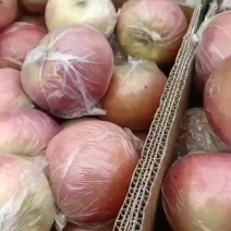 斗南苹果价格便宜啦