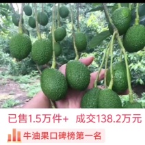 自家种的云南普洱孟连牛油果180-200克包邮