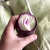 冰激凌水果萝卜