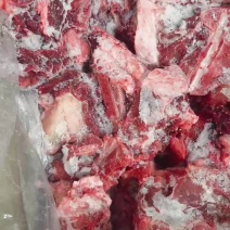 新鲜肉大驼骨头，驼全骨，可定制各种规格！