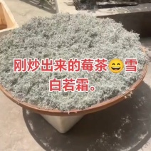 湖南湘西莓茶藤茶