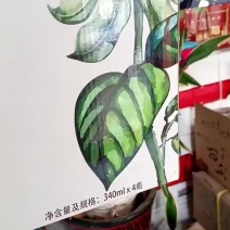 透明开窗手提礼盒