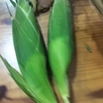 水果玉米太阳花