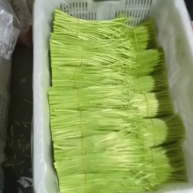 精品芦蒿