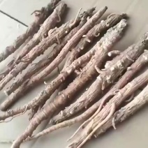 北沙参