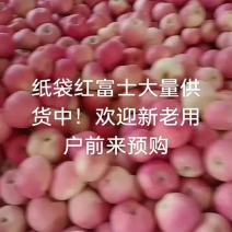 今天是10月21号，纸袋红富士大量供货中。有需要联系我