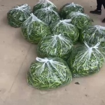 鲜辣椒