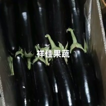 精品胖茄子，**烧烤茄大小都有，很俊的胖子