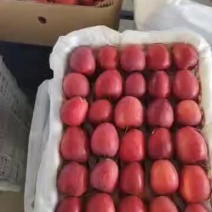 鸡心果