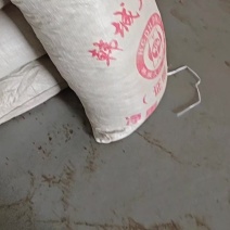 大红袍花椒