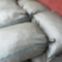 今年的新货水煮无盐白辣椒无琉