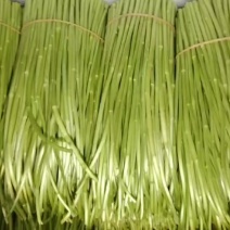 精品芦蒿，上货货不多，需要老板联系