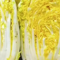 白菜