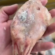 厂家一级仔鹅头有货