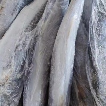 鲅鱼，单冻，马鲛鱼，燕尾鲅，质量好，规格齐全