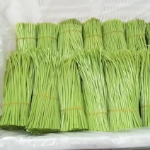 精品芦蒿上货