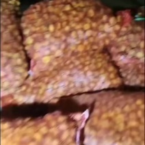 贵州高山刺梨大量有货，需要的老板联系我！