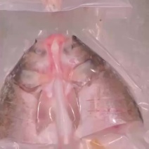鲢鱼头