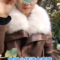 曲阳小伟请大家吃苹果支持批发和零售