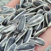 当季新货新瓜子葵花子生瓜子颗粒饱满生熟都有