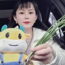 洋葱苗
