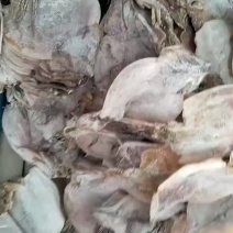 水发鱿鱼干淡干鱿鱼干