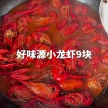 好味源小龙虾9块好味源麻辣小龙虾9块今日龙虾#你的小龙