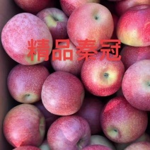 高山秦冠苹果