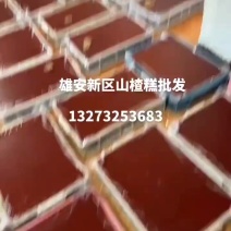 山楂糕，各种口味