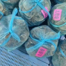 所有螃蟹都是新鲜，所以品种都有现货