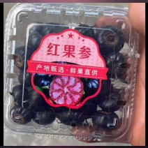 云南文山红果参