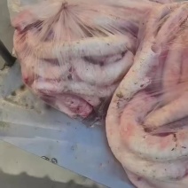 牛肺管