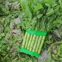 蔬菜