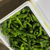 螺丝椒尾货