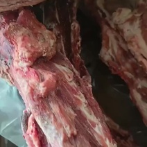 羊蝎子5吨